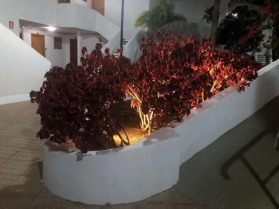 Apartamento Helena En Garden City Con Piscina Climatizada Playa Feñabe