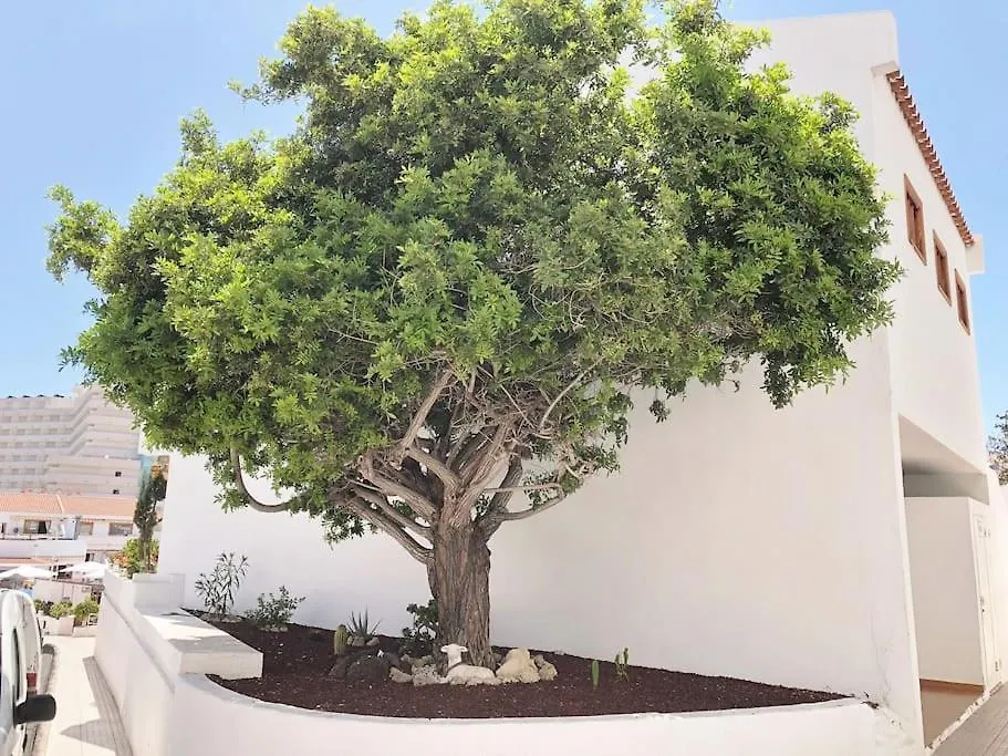 Apartamento Helena En Garden City Con Piscina Climatizada Playa Feñabe