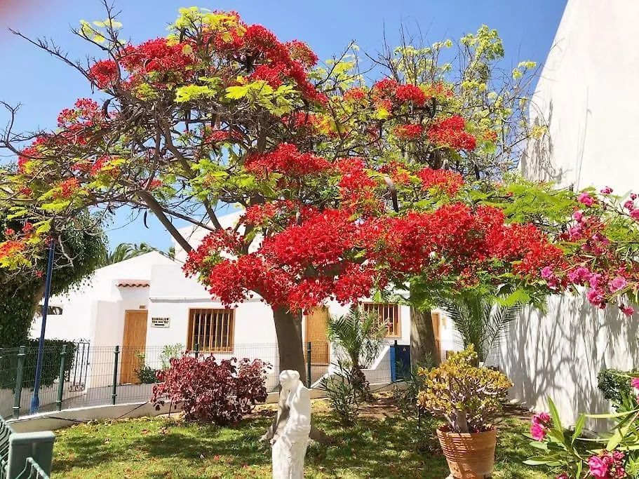 Apartamento Helena En Garden City Con Piscina Climatizada Playa Feñabe